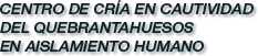 Centro de cria en cautividad del quebrantahuesos en aislamiento humano