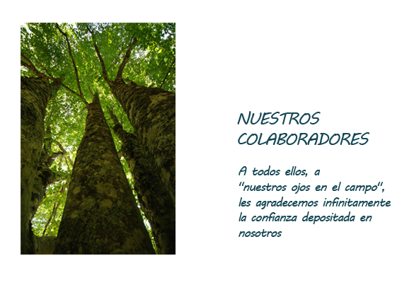 Nuestros colaboradores