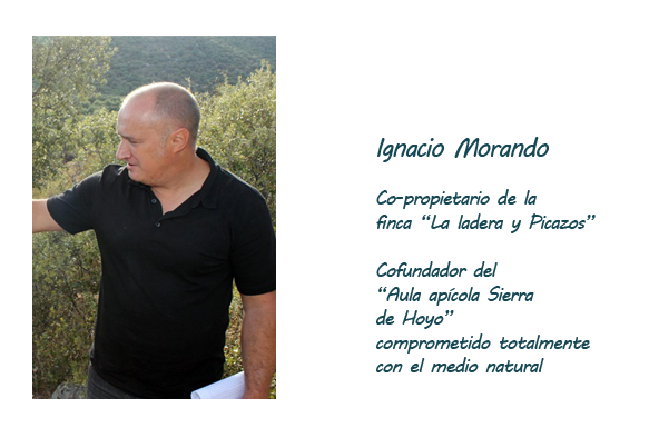 Ignacio Morando