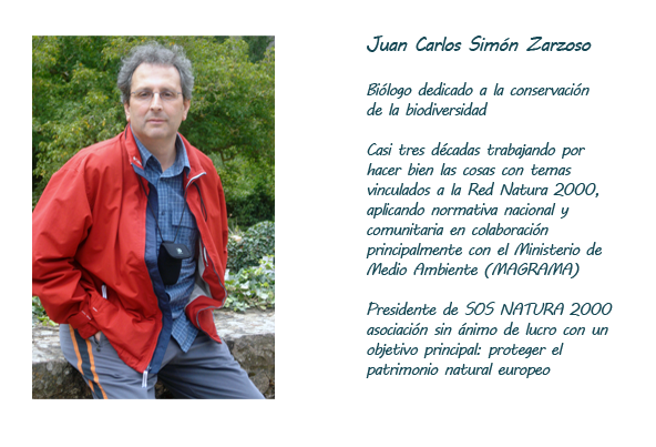 Juan Carlos Simn Zarzoso