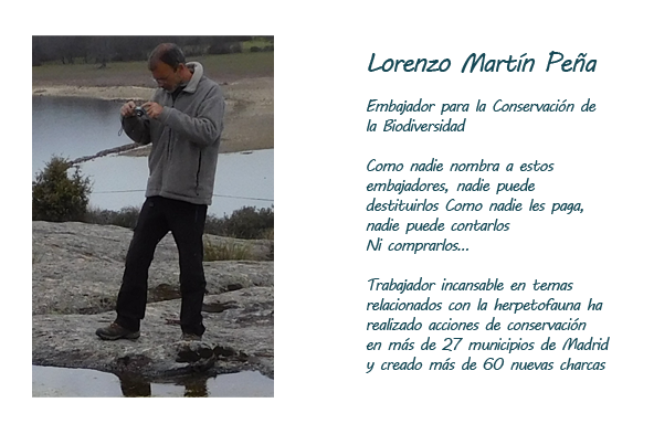 Lorenzo Martn Pea