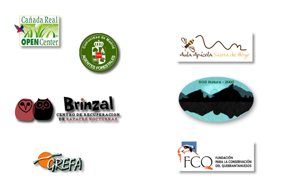 Empresas colaboradoras