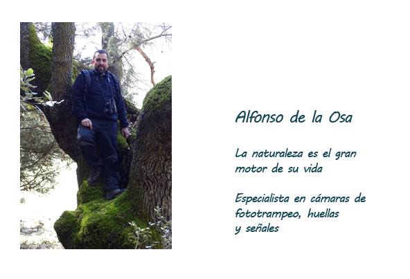 Alfonso de la Osa