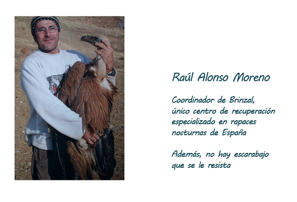 Ral Alonso Moreno