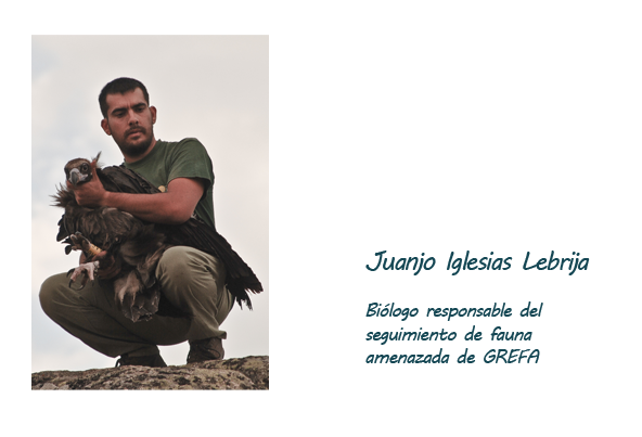 Juanjo Iglesias Lebrija