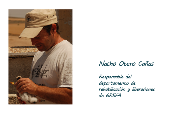 Nacho Otero Caas